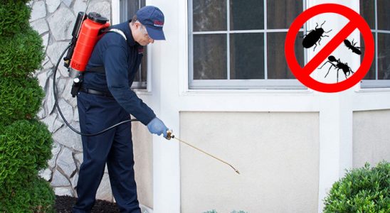 Gölpazarı Karınca İlaçlama böcek ilaçlama ve haşere kontrolü — ilaclama-tr.com
